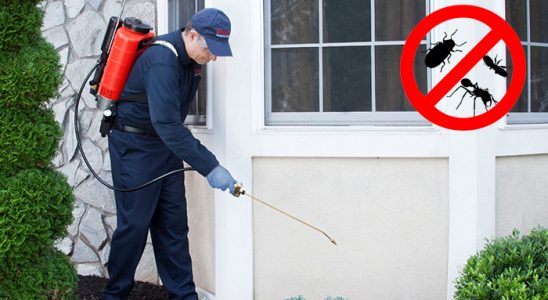 Yeşilhisar Böcek ve Haşere İlaçlama böcek ilaçlama ve haşere kontrolü — ilaclama-tr.com